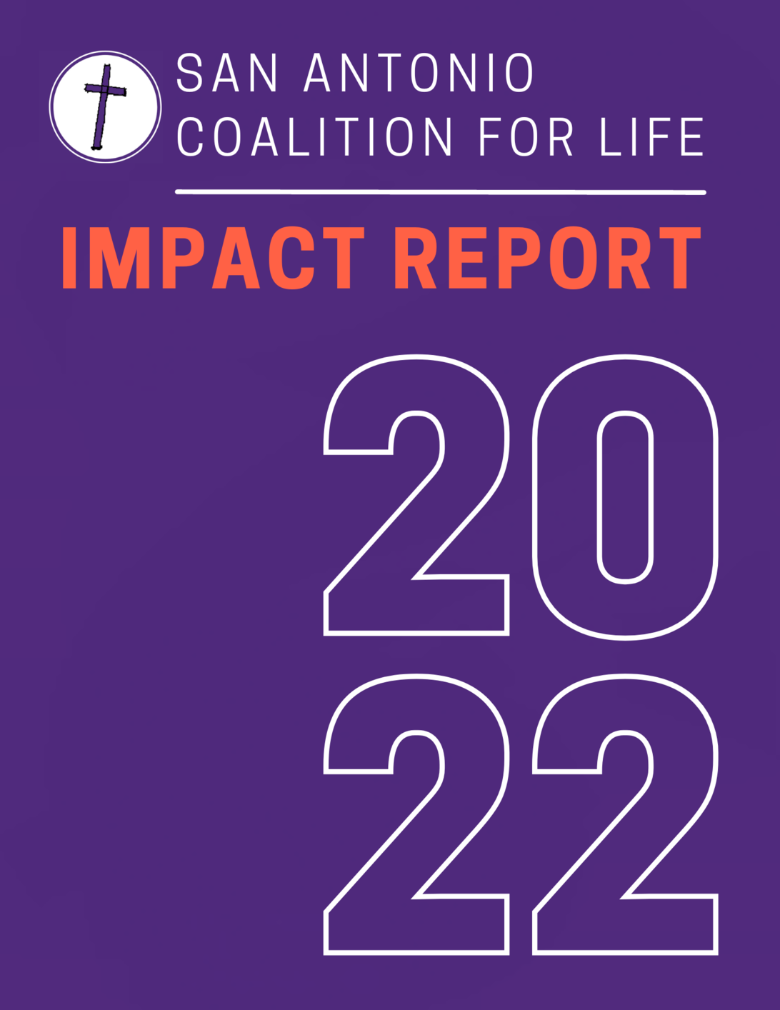 Sacfl Impact Report 2022