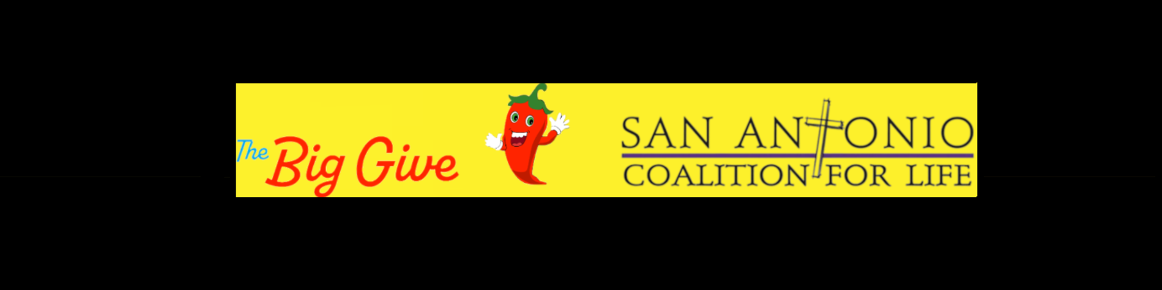 Bg.sacfl .2023.banner